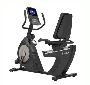 Bicicleta Recumbent Profesional (Tráfico Semi-Pesado X5-R).
