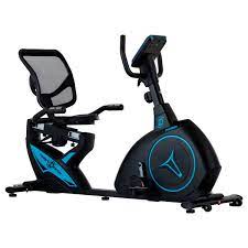 Recumbent Parma-D