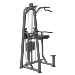 SOPORTE DOMINADAS ASISTIDO SILVER EVOLUTION PRO
